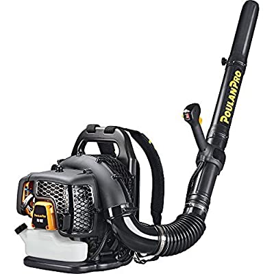 Best Gas Leaf Blower For The Money